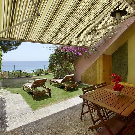 Pinus Village Sea Front Apartment Pula Exterior photo